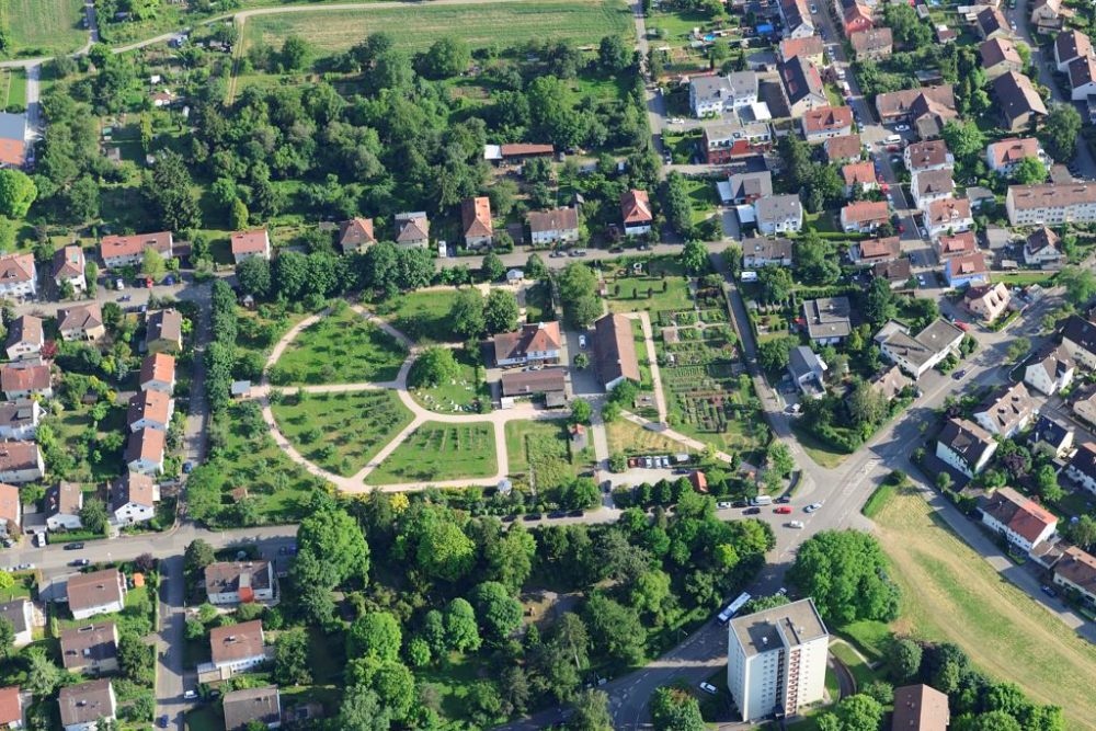 Kuchengarten Netzwerk Nutzpflanzen In Historischen Garten